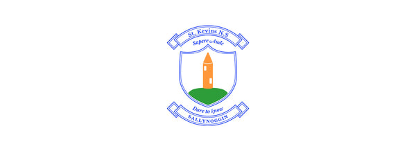 St. Kevin's National School Salyynoggin