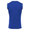 Blackrock College RFC 'Kesil' Training Vest
