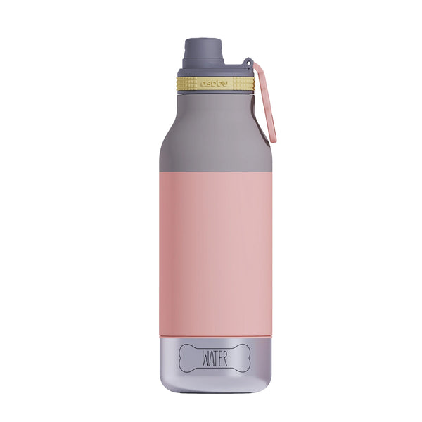 Asobu Buddy Water Bottle