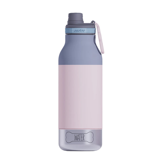Asobu Buddy Water Bottle