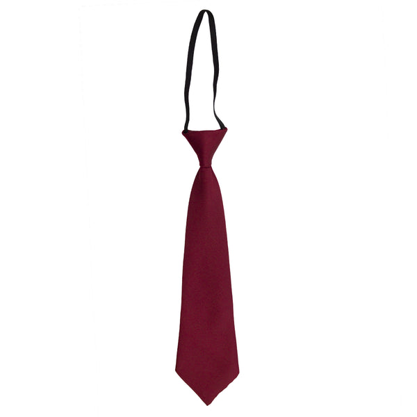 A photo of the St. Mary's Booterstown Elasticated Tie in Red
