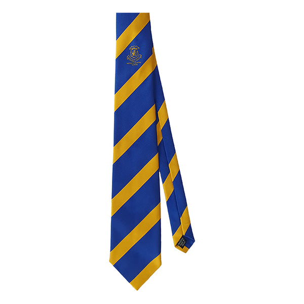 Wilson's Hospital School Tie (All years)