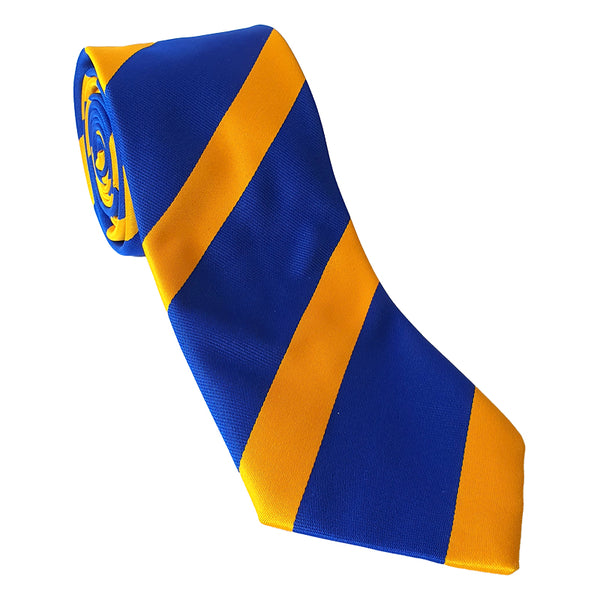 Wilson's Hospital School Tie (All years)