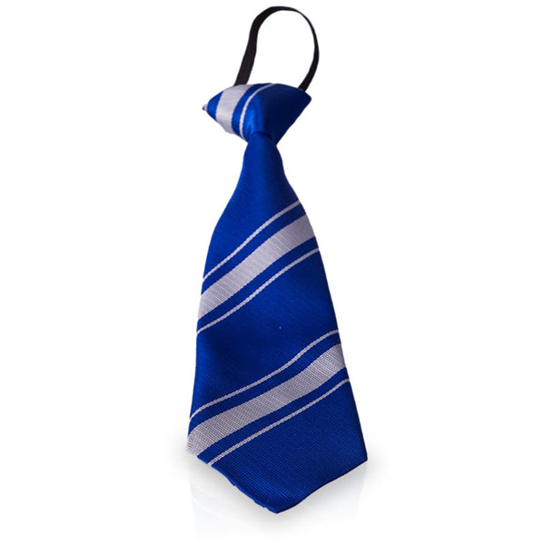 St. Andrew's College Jnr Elastic Tie
