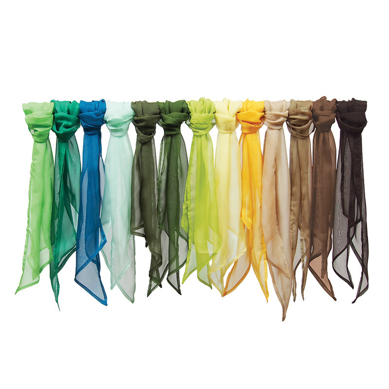 Ladies Chiffon Scarf