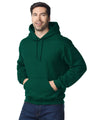 Heavy Blend Hooded Sweatshirt