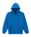 Heavy Blend Hooded Sweatshirt