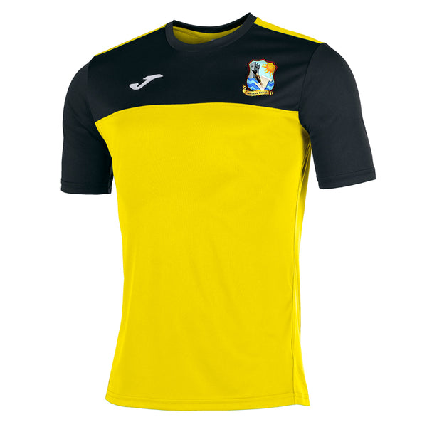 A picture of Colaiste Na Riochta House T-Shirt, colour yellow, available from Uniformity, Ireland's leading school uniform & sports uniform supplier. Shop online or instore today